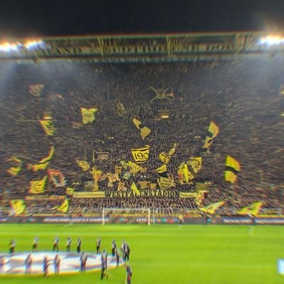 samispandau's profile picture. Mitglied des Ballspielvereins Borussia 09 e. V. Dortmund