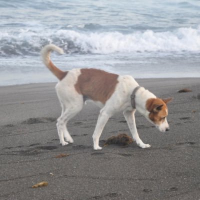 mjizme_'s profile picture. pshs mc ‘27