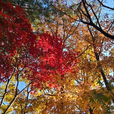 loveandnuest20's profile picture. 앤유러브도노황도민기적인 사람 나야나🥹