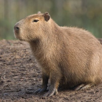 robot0630's profile picture. 