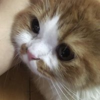trenaeer (@trenaeer85183) 's Twitter Profile