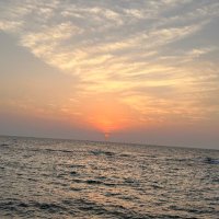 محمد الحمندِي (@m_f202_) 's Twitter Profile