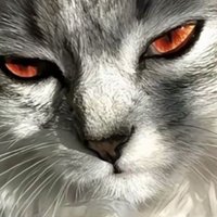 ay (@sweetness_byb) 's Twitter Profile