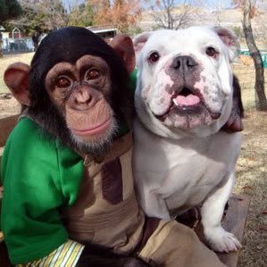 NuNid0925's profile picture. แอคหลัก @Supapornklaywo1