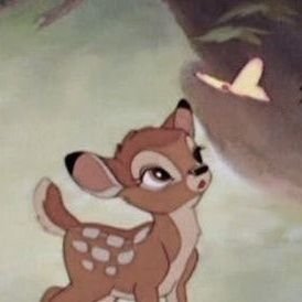 _Mellow_BSA's profile picture. IG:@Mellow_BSA