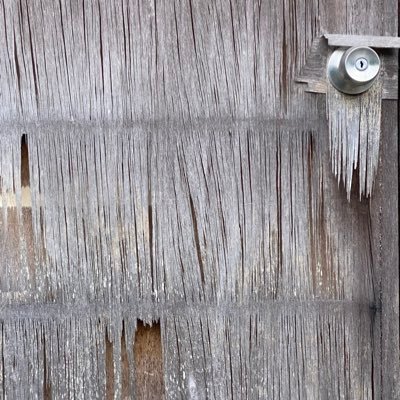 Kenta_Nakajima_'s profile picture. 