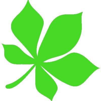 @chestnut_ltd