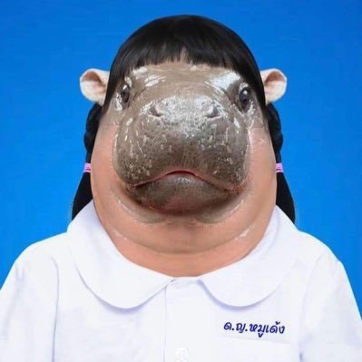 ป่วยสั่งได้さんのプロフィール画像