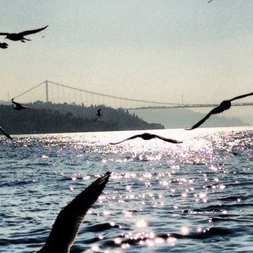 Sunmez3421memet's profile picture. İstanbul