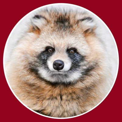 10.12 Jさん,13 ラウパ🤘/活きがいい時はツイ廃/Bluesky:h1samm/画像・動画の無断転載・改変・無断使用禁止。Reuploading is prohibited . 📷NikonD3000