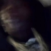 GK5L (@_gk5l) 's Twitter Profile