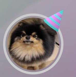 eLl6iWCs8VfN659's profile picture. 