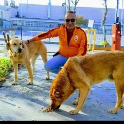 emrekarasu1980's profile picture. 