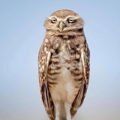 onn_aun's profile picture. จ้านจ้าน&เดอะแก๊ง❤️