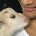 เป็นแพะแต่อยากเป็นแมว (@teamtong12123) Twitter profile photo เป็นแพะแต่อยากเป็นแมว (@teamtong12123) Twitter profile photo