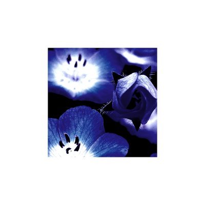 Yumutaさんのプロフィール画像