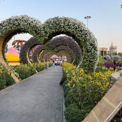 Nls2064900's profile picture. 