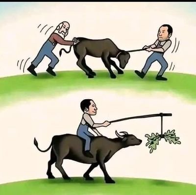 lorem_ak's profile picture. M&E. Business!