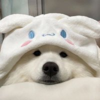 I_jk.pp (@piyathi7028) 's Twitter Profile