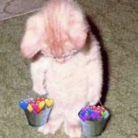 pj (@mntyjv) 's Twitter Profile