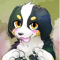 くらっせ✨👑🌙@クラッセ next→ (@bernese_classe) 's Twitter Profile