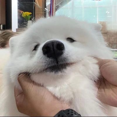 fan account 💌 Until i found you @phuwintang ✧ㆁ ᴄᴜᴛᴇ ミ✨🤍 12.02.23 | ภูวินเหมียว | ปอนด์ภูวินทร์