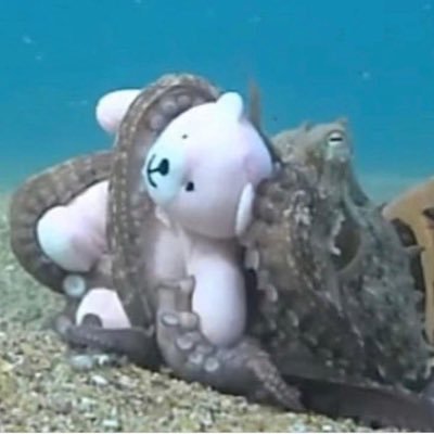 ˚₊‧꒰ა ☆ ໒꒱ ‧₊˚ research fellow @anthropicAI ⟡ phd @compscioxford ⟡ affiliate @antikythera_xyz