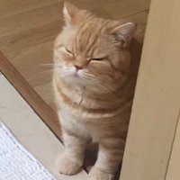 csoob (@choi_magichour) 's Twitter Profile Photo csoob (@choi_magichour) 's Twitter Profile Photo