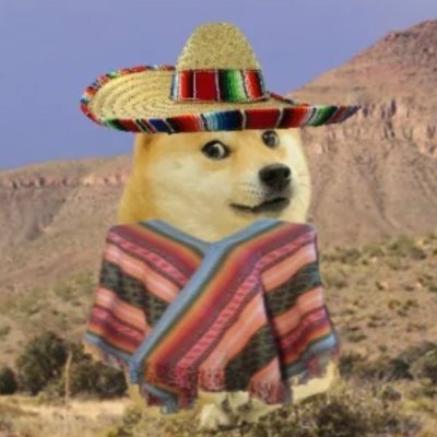 DONCHO_CTO's profile picture. Le Mexican Doge has arrived, now CTO

https://t.co/e1pFchRQBd