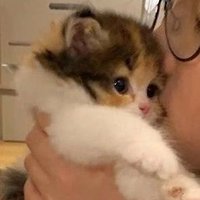 Sandy🪐 (@jindarojanasing) 's Twitter Profile