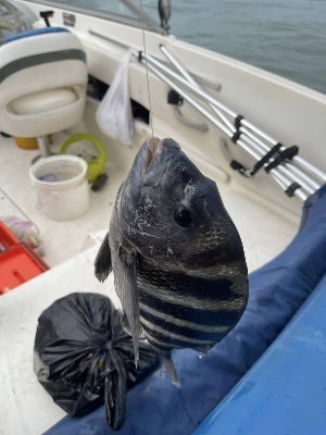 naah_emily's profile picture. Hi nice to meet you i am single let's follow and chat together