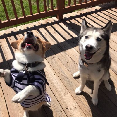 Liushanshan89's profile picture. 