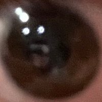 深思 (@continango65983) 's Twitter Profile