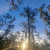 WalkingContradiction (@ramblin_man_87) 's Twitter Profile