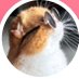 Rewji🐼☀️🤍(พิม🐝) (@rewji25401482) Twitter profile photo Rewji🐼☀️🤍(พิม🐝) (@rewji25401482) Twitter profile photo