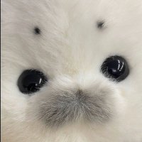 🌙Moonorch (@w_anggra) 's Twitter Profile