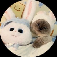 arn_john (@john22eng) 's Twitter Profile