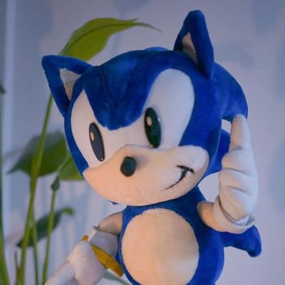 BslmRayane16068's profile picture. I like sonic :)
