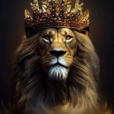 چاوشیست بودم💚تتلیتی شدم♥️ آرزو دارم ری استارتی باشم🦁
