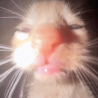 Kecm_ Profile