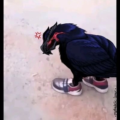 JhonsterME's profile picture. | He/Bird 🪽 |
I like tomboys |
Rumi Usagiyama's husband |