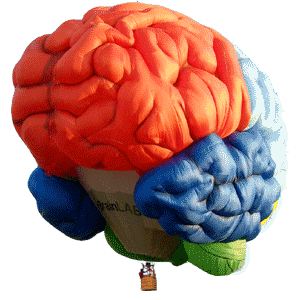 A Fun Brain Games that will definitely work your sleeping weary Brains out on FunBrainWorks.