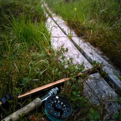 kimmohuttu's profile picture. teacher, D. Sc. (Admin.)