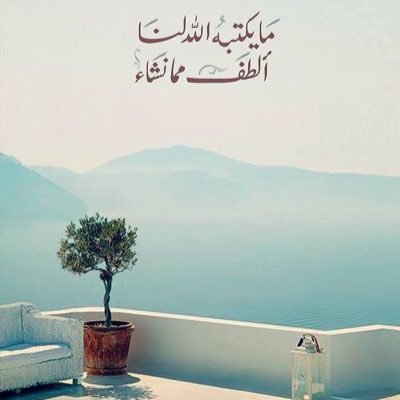 كلّ شيء يتجمّد في الشتاءِ إلاّ العطر والحنين والذكريات وبعض الأُمنيات .
