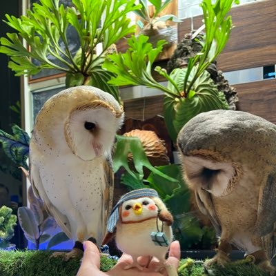 goruske's profile picture. 趣味が多すぎる人🤗田舎暮らしはじめました。庭師見習い🔰たくさんの生き物と草と暮らしてます🐈‍⬛🐍🦎🦉🐴🌵🌿