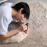 dek (@meowsside) 's Twitter Profile