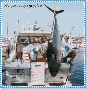 SPORT FISHING, PESCA d'ALTURA, TOURNAMENTS, CINEMA, LIBRI, TENNIS, COOKING.
