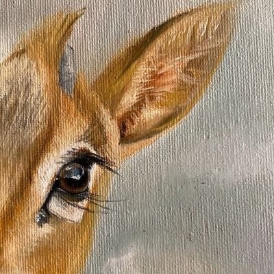 متخصصة في اللّغة العربية/
كتابة و تدقيق لُغوي .
أصيغ الحروف وأُهذّب الكلمات.
~اللهم اجعلني في تدبيرك وتيسير ك وتسخيرك~ 🌧