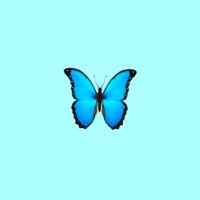 💕a_lovepalit (ᵔᴥᵔ) นุช✈️ของผลิต ⓅⒺⒸⓀⓅⒶⓁⒾⓉ (@aakrittaya) 's Twitter Profile Photo 💕a_lovepalit (ᵔᴥᵔ) นุช✈️ของผลิต ⓅⒺⒸⓀⓅⒶⓁⒾⓉ (@aakrittaya) 's Twitter Profile Photo