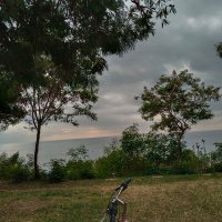 sezin (@sezin564724) 's Twitter Profile